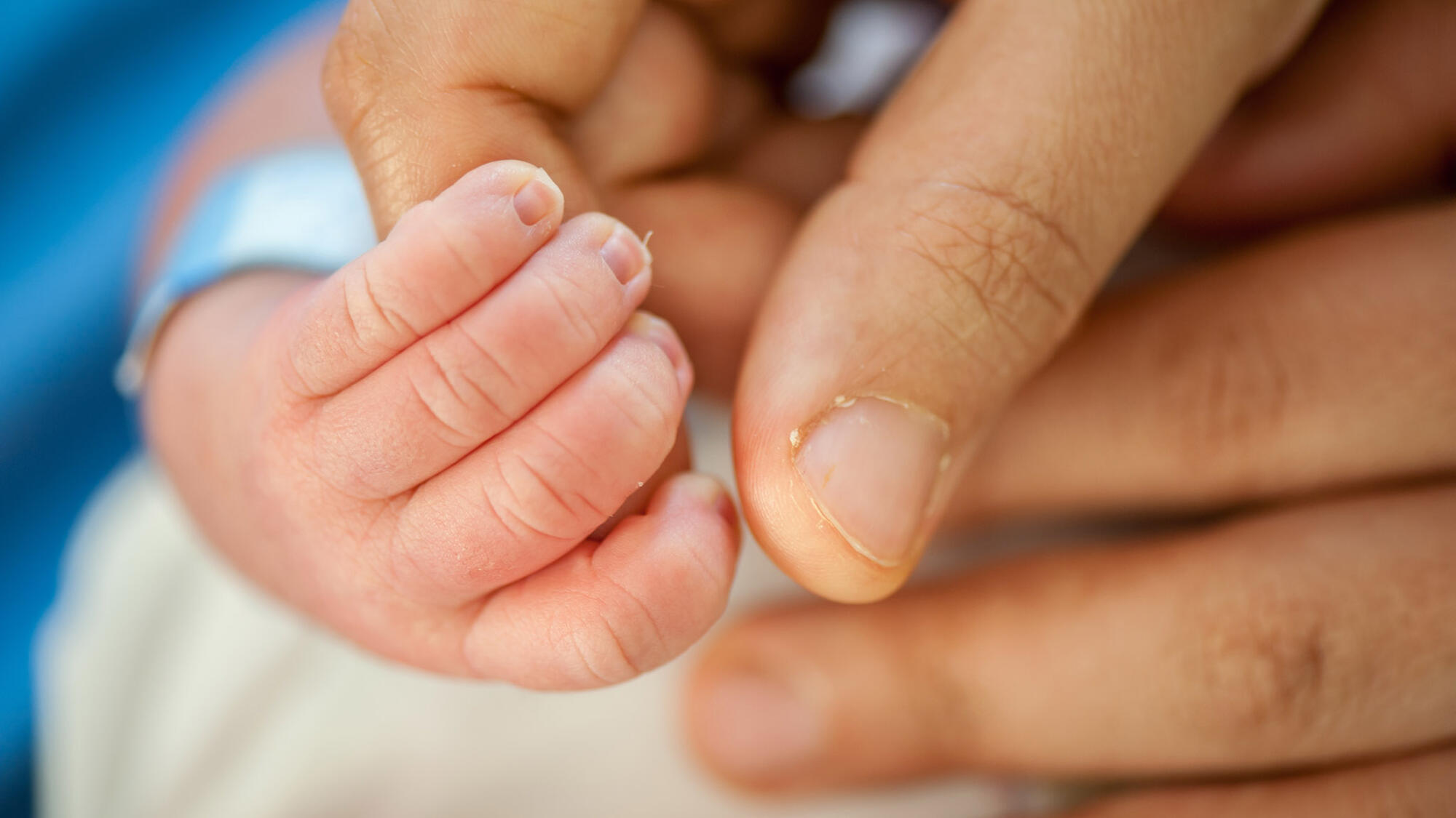 Closeup of newborn's hand holding adult finger
